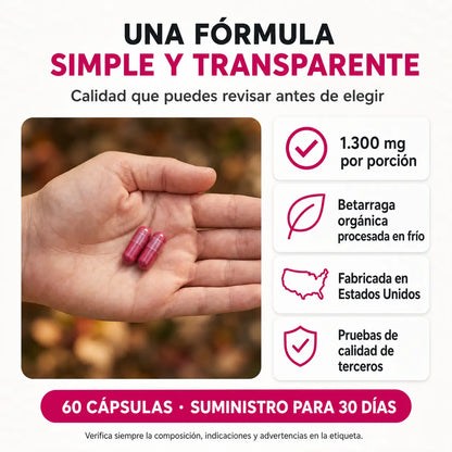Beetroot: Energía y Circulación